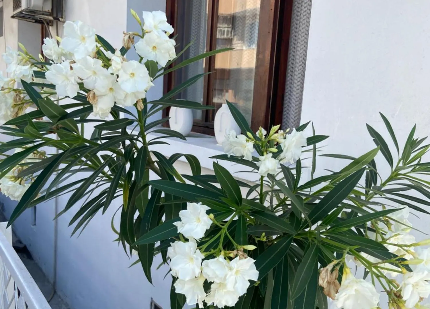 Guest House Hei Taka Sozopol